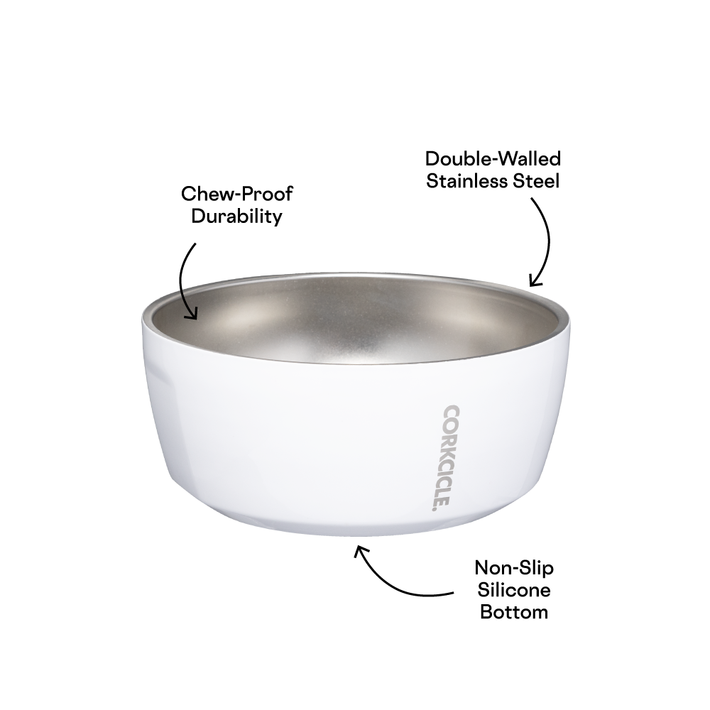 Dog Bowl